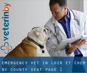 Emergency Vet in Loir-et-Cher by county seat - page 1