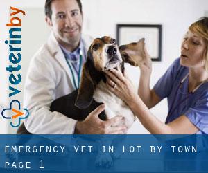 Emergency Vet in Lot by town - page 1