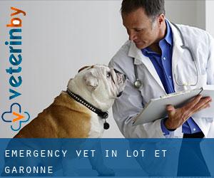 Emergency Vet in Lot-et-Garonne