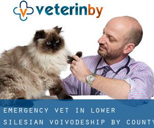 Emergency Vet in Lower Silesian Voivodeship by County - page 1