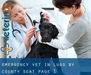 Emergency Vet in Lugo by county seat - page 1