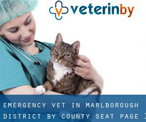 Emergency Vet in Marlborough District by county seat - page 1