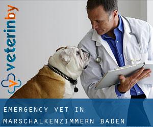 Emergency Vet in Marschalkenzimmern (Baden-Württemberg)