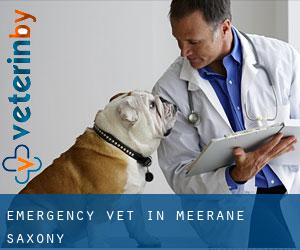 Emergency Vet in Meerane (Saxony)