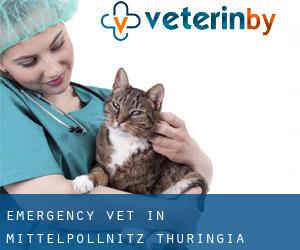 Emergency Vet in Mittelpöllnitz (Thuringia)
