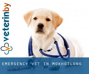 Emergency Vet in Mokhotlong Emergency Vet in Mokhotlong