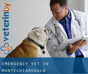 Emergency Vet in Montechiarugolo