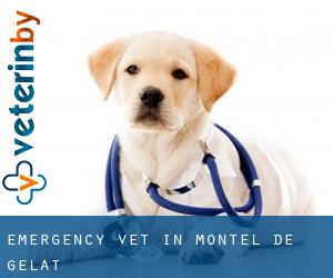 Emergency Vet in Montel-de-Gelat