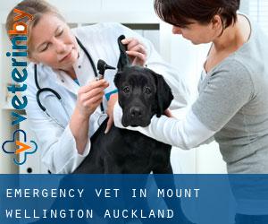 Emergency Vet in MOUNT WELLINGTON (Auckland)