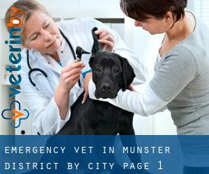 Emergency Vet in Münster District by city - page 1