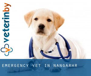 Emergency Vet in Nangarhār Emergency Vet in Nangarhār