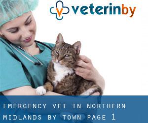 Emergency Vet in Northern Midlands by town - page 1