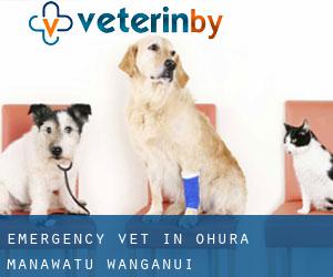 Emergency Vet in Ohura (Manawatu-Wanganui)