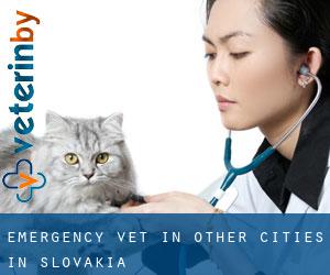 Emergency Vet in Other Cities in Slovakia