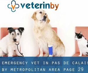 Emergency Vet in Pas-de-Calais by metropolitan area - page 29