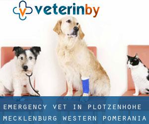 Emergency Vet in Plötzenhöhe (Mecklenburg-Western Pomerania)