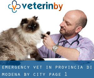 Emergency Vet in Provincia di Modena by city - page 1