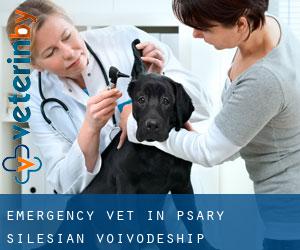 Emergency Vet in Psary (Silesian Voivodeship)