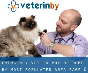 Emergency Vet in Puy-de-Dôme by most populated area - page 6