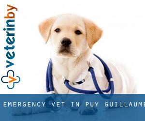 Emergency Vet in Puy-Guillaume