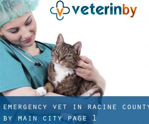 Emergency Vet in Racine County by main city - page 1