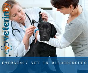 Emergency Vet in Richerenches