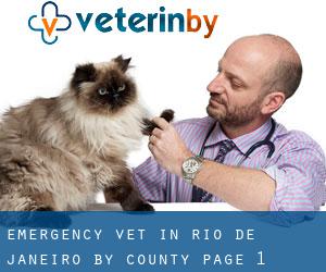 Emergency Vet in Rio de Janeiro by County - page 1