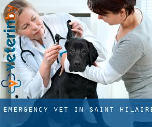 Emergency Vet in Saint-Hilaire