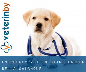 Emergency Vet in Saint-Laurent-de-la-Salanque
