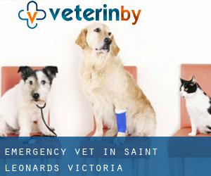 Emergency Vet in Saint Leonards (Victoria)