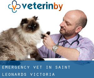 Emergency Vet in Saint Leonards (Victoria)