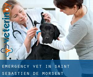 Emergency Vet in Saint-Sébastien-de-Morsent