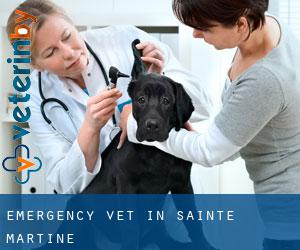 Emergency Vet in Sainte-Martine
