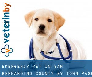 Emergency Vet in San Bernardino County by town - page 1