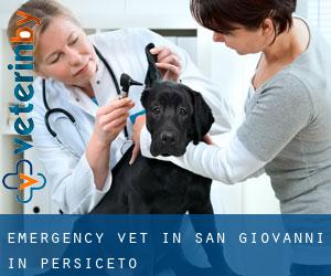 Emergency Vet in San Giovanni in Persiceto