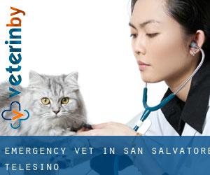 Emergency Vet in San Salvatore Telesino