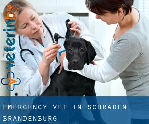 Emergency Vet in Schraden (Brandenburg)