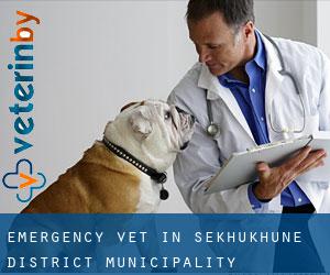 Emergency Vet in Sekhukhune District Municipality