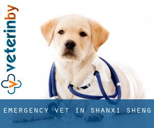 Emergency Vet in Shanxi Sheng Emergency Vet in Shanxi Sheng