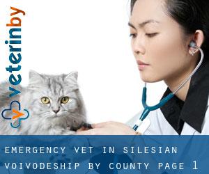 Emergency Vet in Silesian Voivodeship by County - page 1