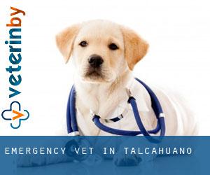 Emergency Vet in Talcahuano Emergency Vet in Talcahuano