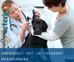 Emergency Vet in Tassdorf (Brandenburg)