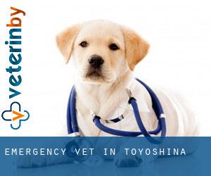 Emergency Vet in Toyoshina