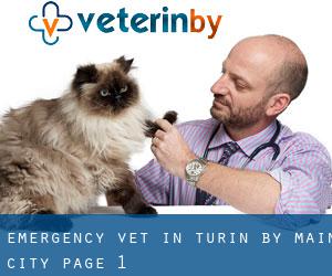 Emergency Vet in Turin by main city - page 1