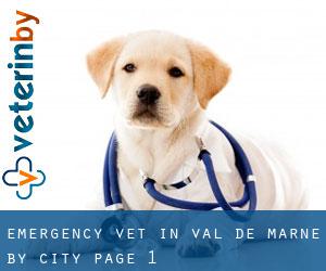 Emergency Vet in Val-de-Marne by city - page 1
