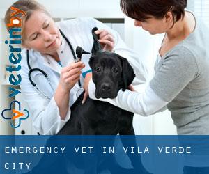 Emergency Vet in Vila Verde (City)