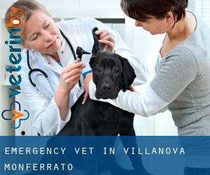 Emergency Vet in Villanova Monferrato