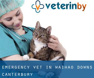Emergency Vet in Waihao Downs (Canterbury)