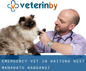 Emergency Vet in Waituna West (Manawatu-Wanganui)