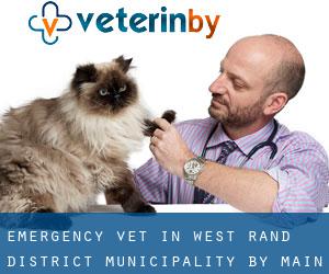Emergency Vet in West Rand District Municipality by main city - page 1